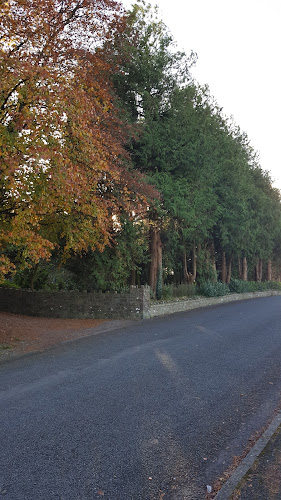 Moxham St, Granard, Co. Longford