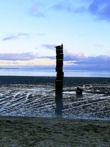 Comentarii opinii despre Cafe Acqua