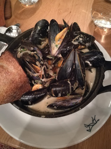 Mikey Ryan's Bar & Kitchen - Hospitality and gastronomy