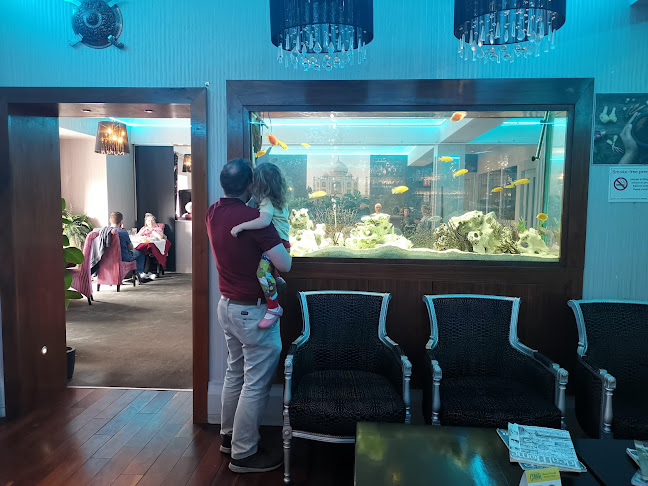 The Silver Oak Indian Restaurant - Ennis