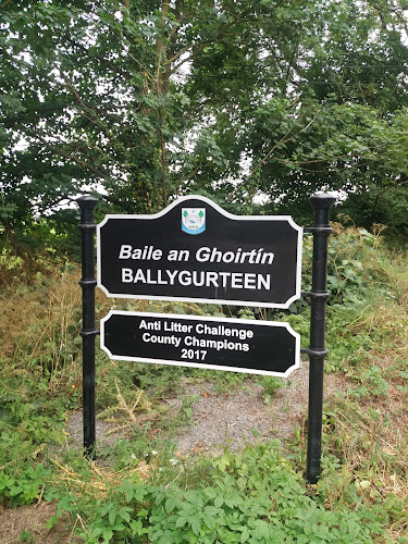 Comentarii opinii despre McCarthy"s Bar