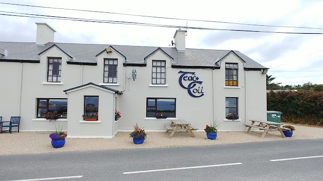 Colls Bar - Hospitality and gastronomy