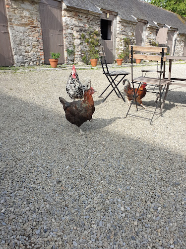 Comentarii opinii despre Huntington Castle Tearoom