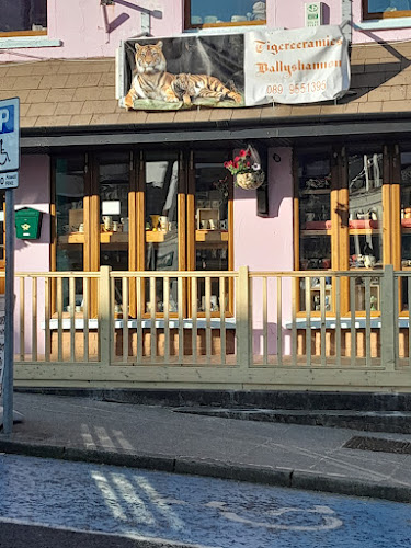 Eskimo Pizza Ballyshannon