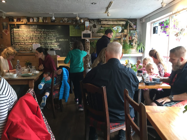 Leafy Greens Cafe - Hospitality and gastronomy