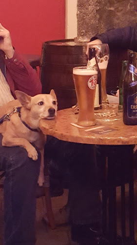 Comentarii opinii despre Tom Collins' Bar