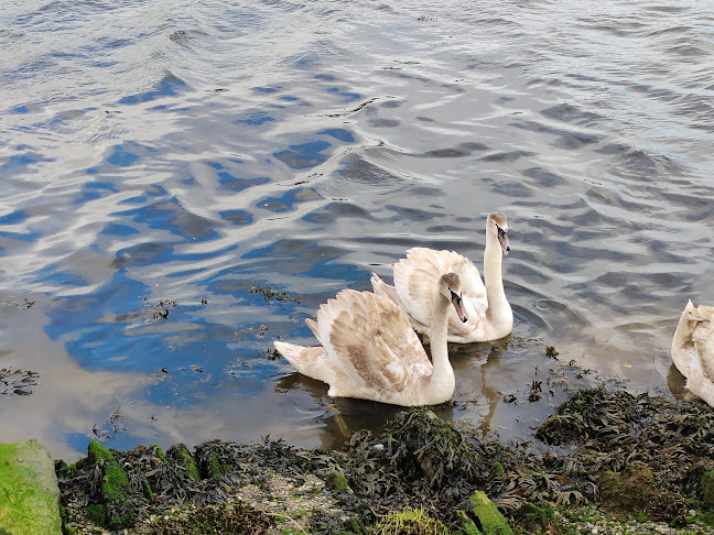 Kitty Macs - Hospitality and gastronomy