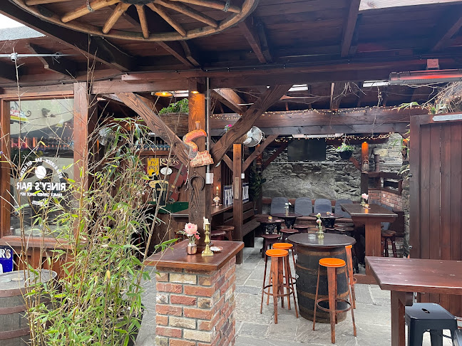 Comentarii opinii despre Riney's Bar & Beer Garden