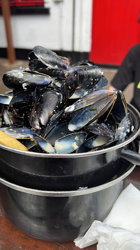 PJ O Hare's Carlingford - Dundalk