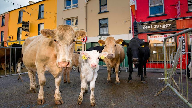 The Real Burger - Killorglin