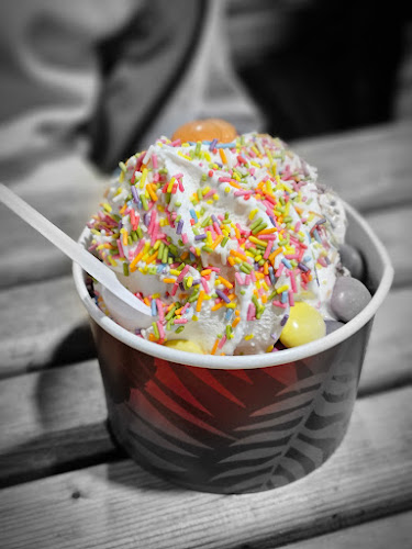 The Hungry Lyons Dooradoyle - Limerick