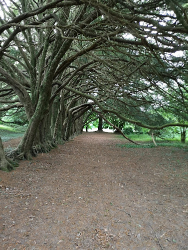 H, Huntington, Clonegall, Co. Carlow, Y21 K237