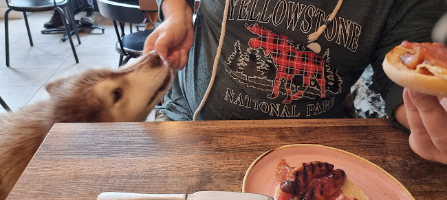 Comentarii opinii despre Butcher Boy Coffee House