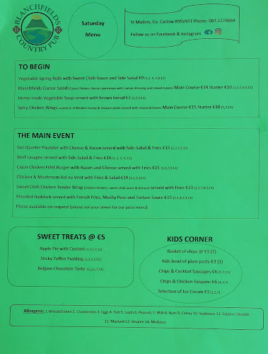 Opinii despre Blanchfield's Pub în St Mullin's - Hospitality and gastronomy