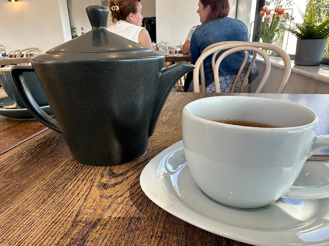 Ahoy Cafe - Hospitality and gastronomy