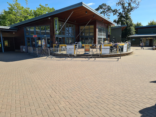 Opinii despre Savannah Café în Midleton - Hospitality and gastronomy