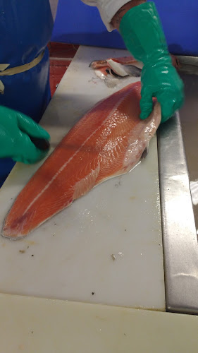 Rene Cusack Fishmonger - Hospitality and gastronomy