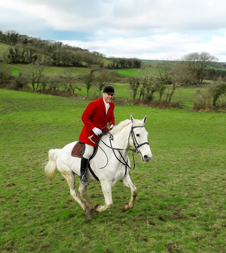 Comentarii opinii despre The Grange Tavern