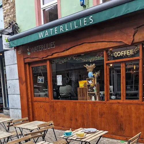 Comentarii opinii despre Waterlilies