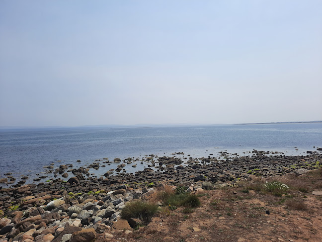 Opinii despre Benwee Coffee Stop în Ballina - Hospitality and gastronomy