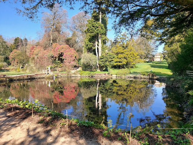 Acton Cafe Kilmacurragh - Wicklow