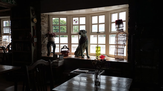 Comentarii opinii despre White Raven Curio Café