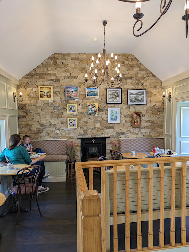 Molly's Coffee Gallery - Hospitality and gastronomy