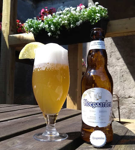 Opinii despre Rouse's Bar în Ballina - Hospitality and gastronomy