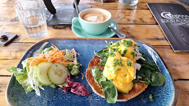 Curious Cat Café - Hospitality and gastronomy