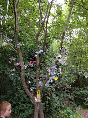 Donadea Demesne, Co. Kildare