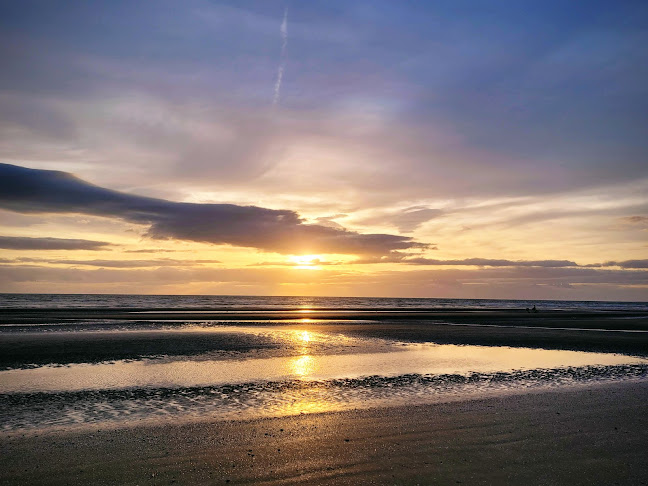 Bistro Bt - Hospitality and gastronomy