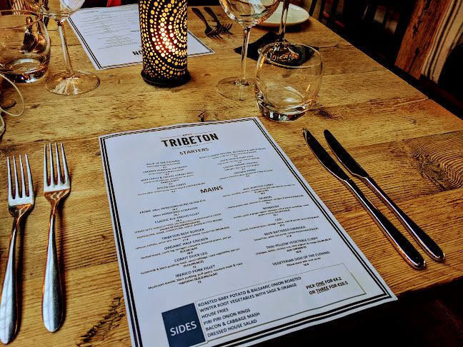 Comentarii opinii despre Tribeton