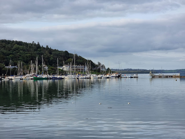 Chish 'N' Fips - Cork