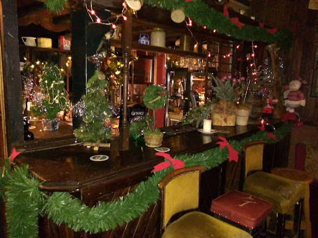 Guerin's Pub / The Kingfisher Pub - Castleconnell