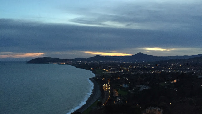 Grapevine - Restaurant & Wine Shop Dalkey - Hospitality and gastronomy