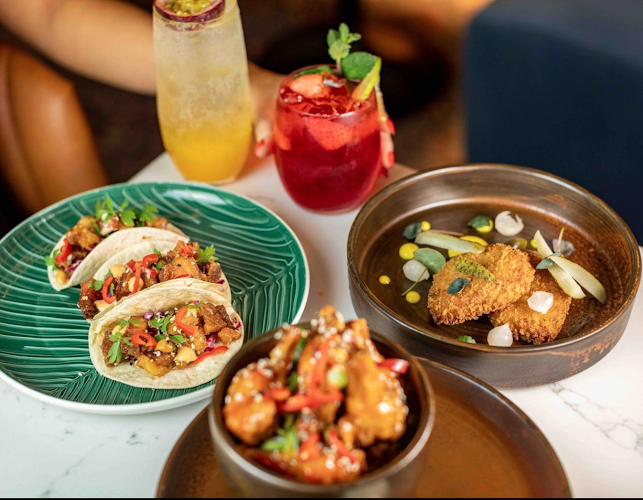 Social Bar and Restaurant - Hospitality and gastronomy