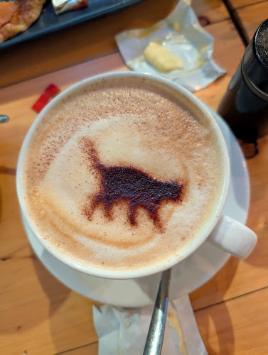 Curious Cat Café - Hospitality and gastronomy