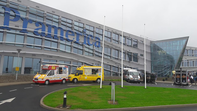 Annie's ice's - Hospitality and gastronomy