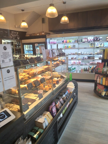 Comentarii opinii despre Thyme Out