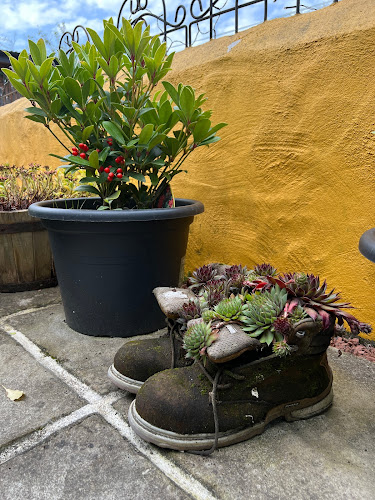 Comentarii opinii despre The Yellow House Coffee Bar