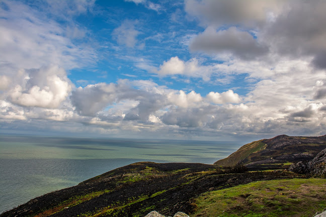 Comentarii opinii despre The Archery Parlour