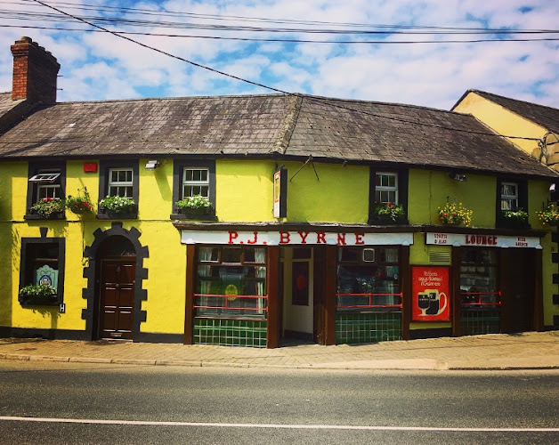 Opinii despre P.J. Byrne’s Pub Castlebellingham în Dundalk - Hospitality and gastronomy