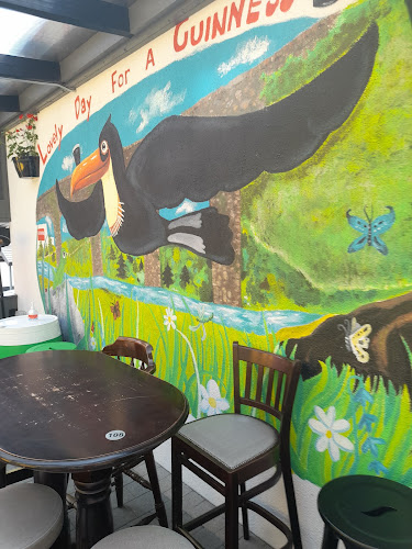 Kiersey's Bar and Tearoom - Hospitality and gastronomy