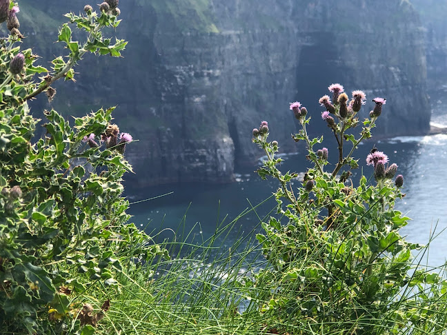 Comentarii opinii despre Gra Coffee