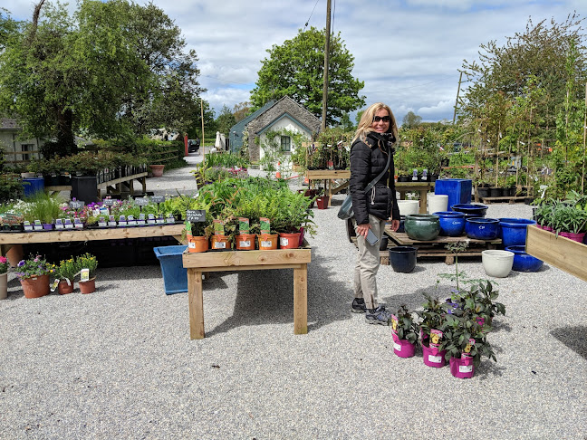 Woodfield Cafe and Garden Centre - Birr