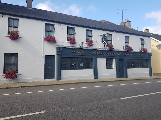Opinii despre Shamrock Inn în Cavan - Hospitality and gastronomy
