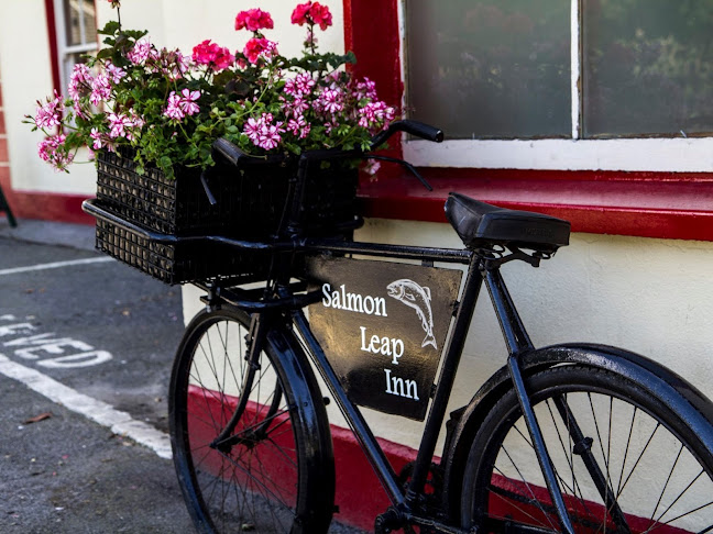 Opinii despre The Salmon Leap Inn în Leixlip - Hospitality and gastronomy