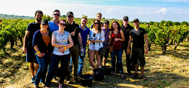 Opinii despre O'Briens Wine Off-Licence Navan Town în Navan - Hospitality and gastronomy