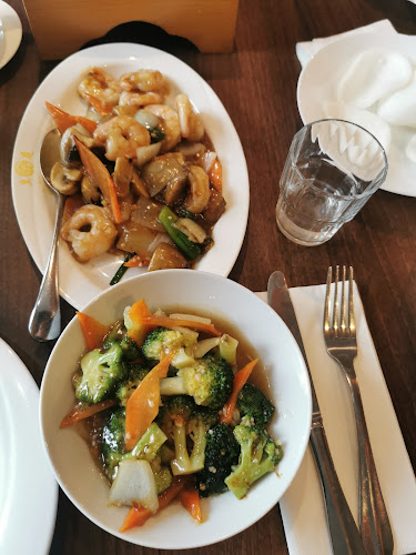 Opinii despre Royal Court Chinese Restaurant în Ennis - Hospitality and gastronomy