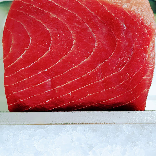 Comentarii opinii despre Fine Fins